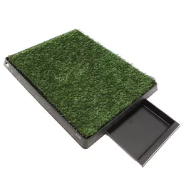 Training Grass Mat Tray 58X46CM