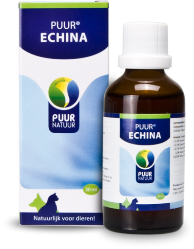 Puur Echina 